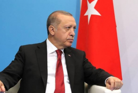 Эрдоган: Турция считает ошибочной позицию ПАСЕ по Азербайджану
