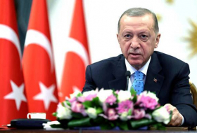 Эрдоган: Мы принципиально поддерживаем предложенный Зеленским мирный план