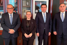 Хикмет Гаджиев обсудил вопросы сотрудничества с представителями ПРООН в Азербайджане