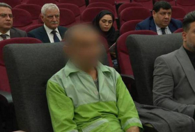 Напавшему на посольство Азербайджана в Иране вынесен приговор
