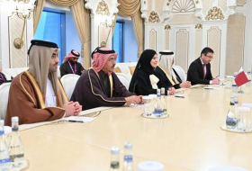 Сахиба Гафарова встретилась с заместителем председателя Совета Шуры Государства Катар