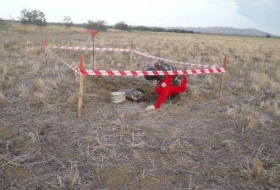 ANAMA: На освобожденных территориях обнаружены еще 195 мин