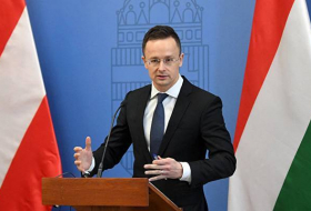 Глава МИД Венгрии: Европейский Союз нуждается в Турции