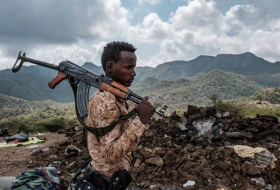Правительственные силы убили на севере Эфиопии свыше 50 человек