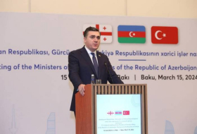 Глава МИД Грузии: Надеемся, что Азербайджан и Армения в скором времени подпишут мирное соглашение