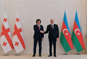 Президент Ильхам Алиев и премьер-министр Ираклий Кобахидзе выступают с заявлениями для прессы - Видео