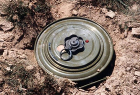 ANAMA: На освобожденных территориях за неделю обезврежено 38 мин и 202 НРБ