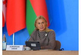 Комиссар: Азербайджан в будущем станет основным партнером по экспорту электроэнергии в ЕС