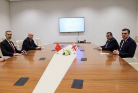 В Баку состоялась встреча глав МИД Турции и Грузии