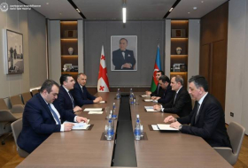 Глава МИД Азербайджана обсудил с грузинским коллегой ситуацию в регионе