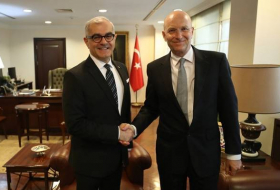 Анкара и Стокгольм обсудили подготовку к двустороннему механизму сотрудничества в области безопасности