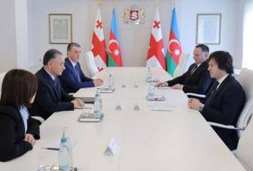Премьер-министр Грузии поблагодарил Азербайджан