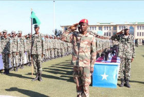 Турция вносит вклад в укрепление безопасности Сомали