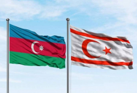 Создана рабочая группа по межпарламентским связям между Азербайджаном и ТРСК