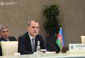 Глава МИД: Армении важно ответить взаимностью на мирные усилия Азербайджана