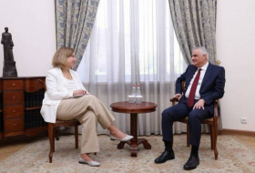 Вице-премьер Армении обсудил вопросы делимитации с послом США
