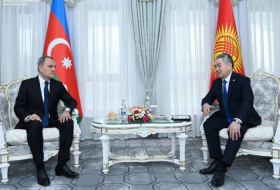 Началась встреча один на один глав МИД Азербайджана и Кыргызстана