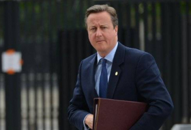 Кэмерон объяснил, почему Британия не помогает Украине сбивать дроны