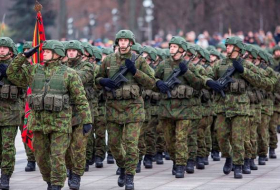 Литва направит 400 военных для обеспечения безопасности саммита «Инициатива трех морей»