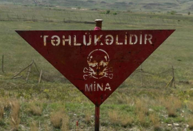 ANAMA: На освобожденных территориях обезврежена 51 мина