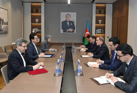 Глава МИД Азербайджана принял посла Ирана в связи с завершением его дипломатической деятельности