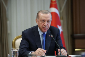 Эрдоган передал премьеру Нидерландов ожидания Турции относительно будущего генсека НАТО