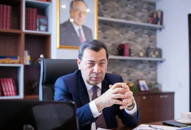 Глава азербайджанской делегации в ПАСЕ: Швабе-политический террорист