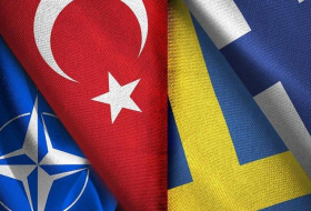 Швеция и Финляндия подтвердили свою солидарность с Турцией