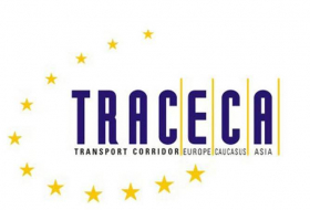 Страны TRACECA интересуются используемой в аэропортах Азербайджана системой защиты от дронов