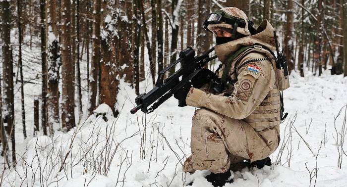 Двух военных НАТО в Литве поймали на употреблении наркотиков