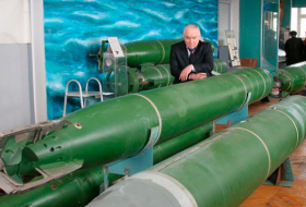 ВМФ России получит 73 универсальные электрические торпеды