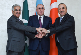 Армяне обеспокоены военно-техническим сотрудничеством Баку с Анкарой и Исламабадом