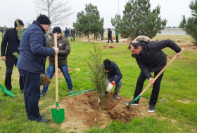 Сотрудники СГБ посадили деревья (ФОТО)