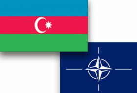 Азербайджан и НАТО обсудили в Брюселле вопросы сотрудничества