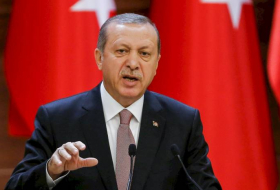 Эрдоган: Турция входит в тройку лидеров по производству БПЛА