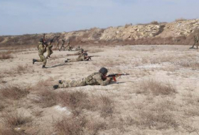 Азербайджанская армия примет участие в учениях «Эфес-2022»