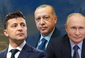Украинский депутат: «Турция вообще сложный партнер»