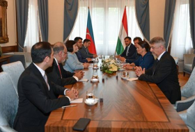 Спикер Милли Меджлиса встретилась с президентом Венгрии