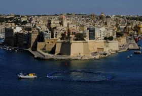 Египет, Китай и ОАЭ отказались участвовать во встрече по Украине на Мальте