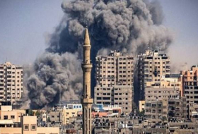 Число погибших в Газе достигло 24620 человек